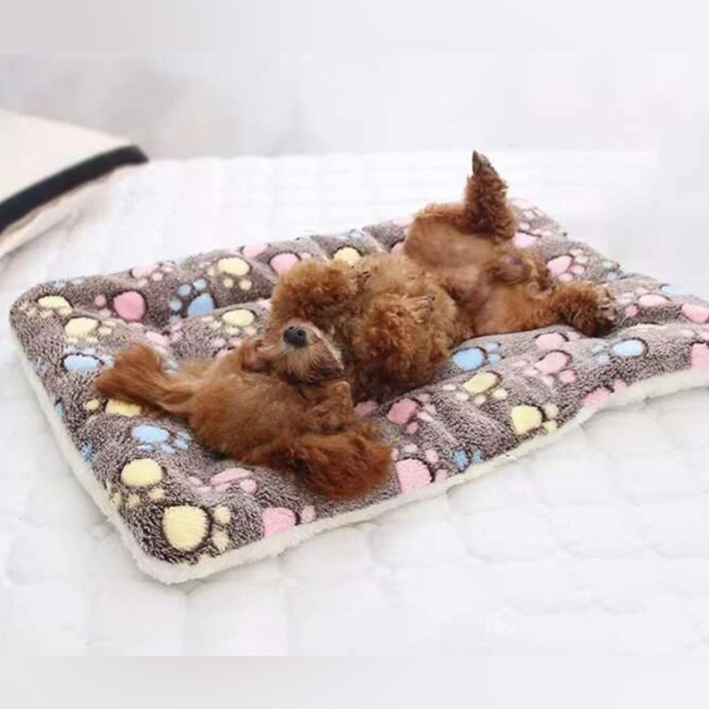 Paw Print Pet Bed